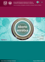 Aborto Micótico