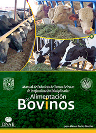 titulo
