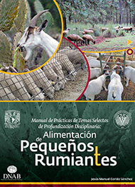 titulo