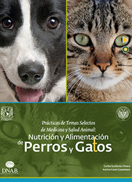 titulo