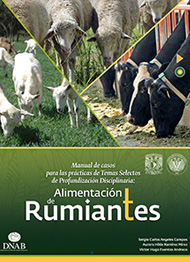 titulo