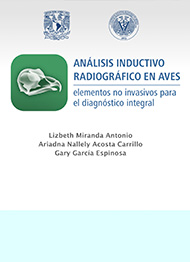 Análisis Inductivo