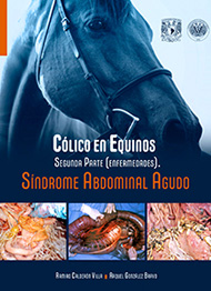 Cólico en Equinos 2