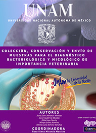 Colección, Conservación y Envío