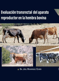 Compendio Digital
