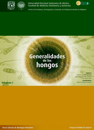 Generalidades de los Hongos