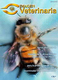 Imagen Veterinaria