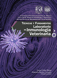 Técnicas y Fundamentos