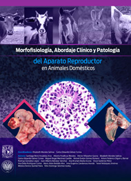 Morfofisiología