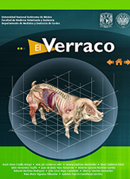 EL Verraco