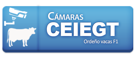 regresar