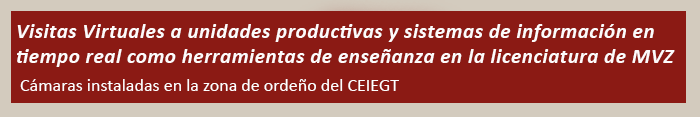 Actividades